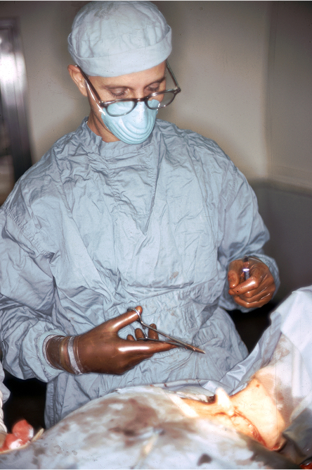 Transition to Medicine